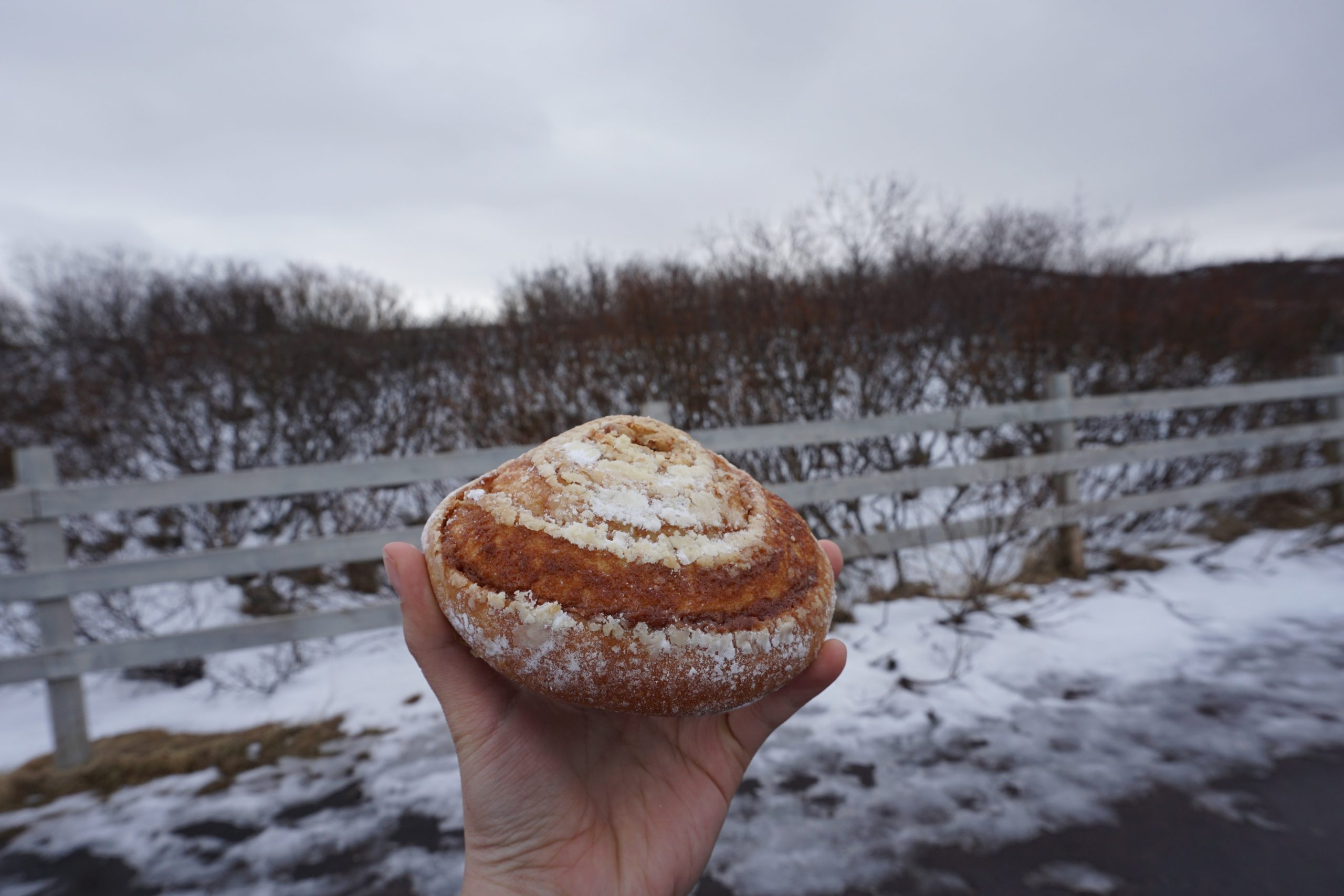 Cinnamon roll from Iceland bakery